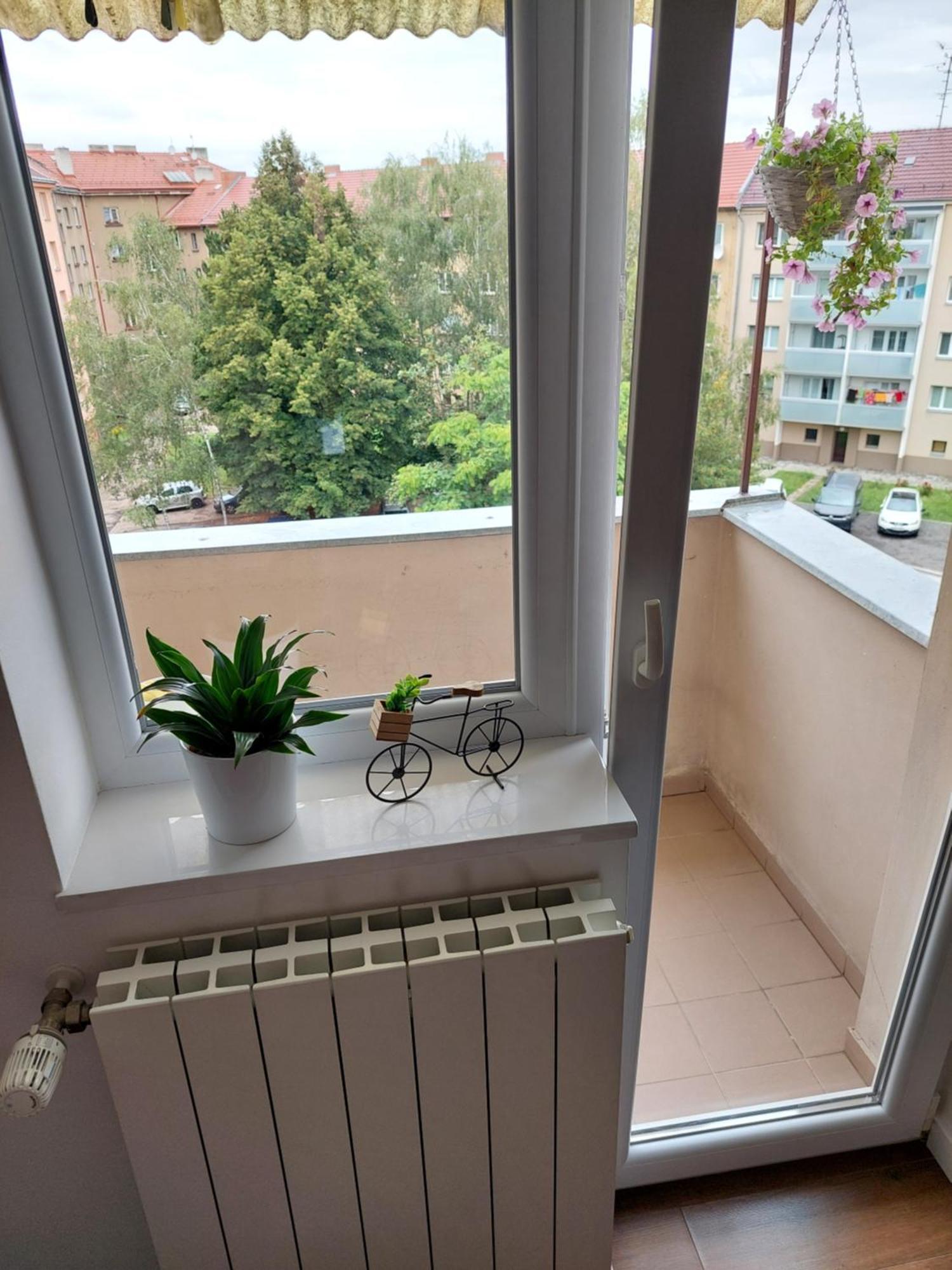 B&B Resslova Hradec Králové Esterno foto